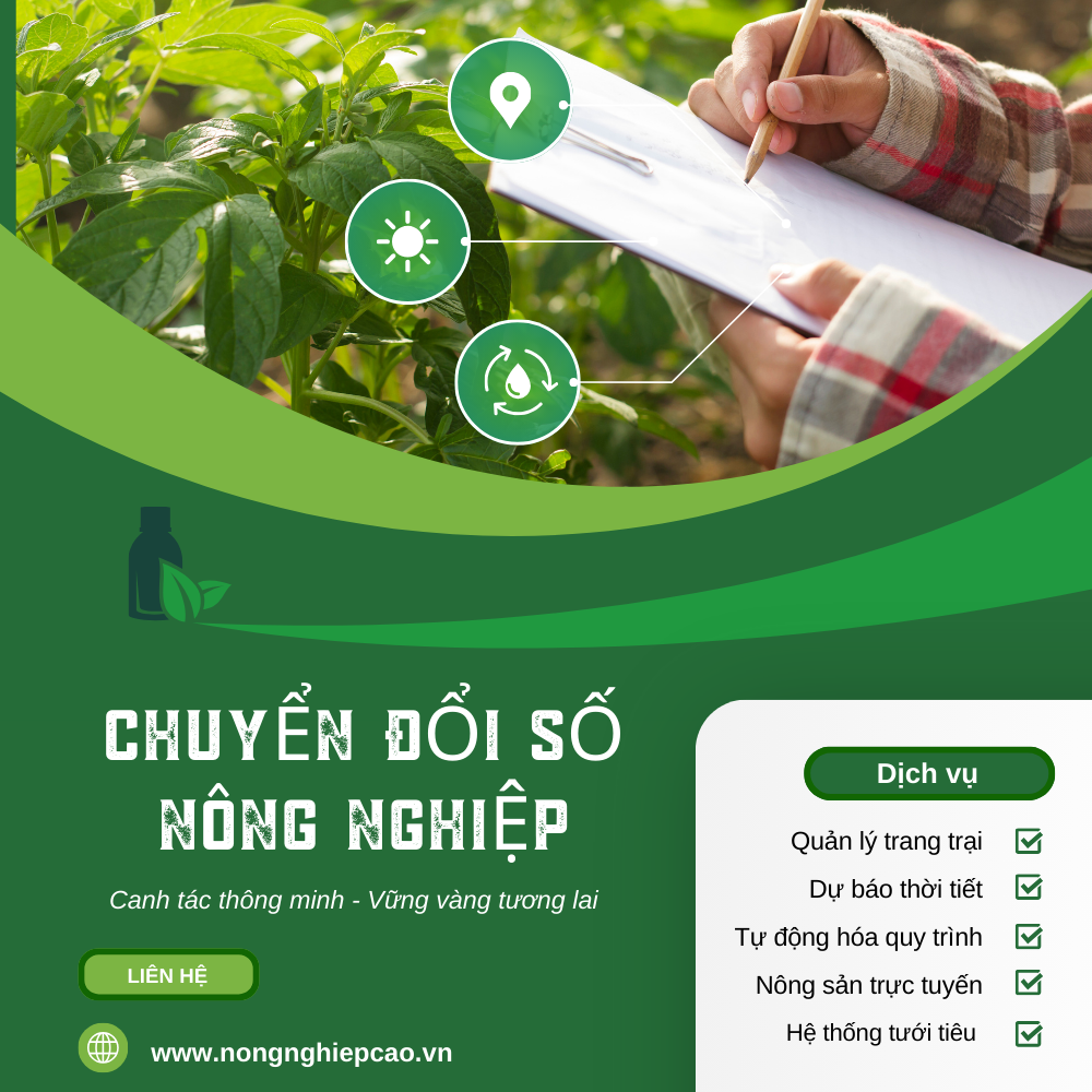 Công Nghệ Trong Khởi Nghiệp Nông Sản Sạch: Chìa Khóa Thành Công?